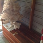 Cedar-chest-and-small-tree